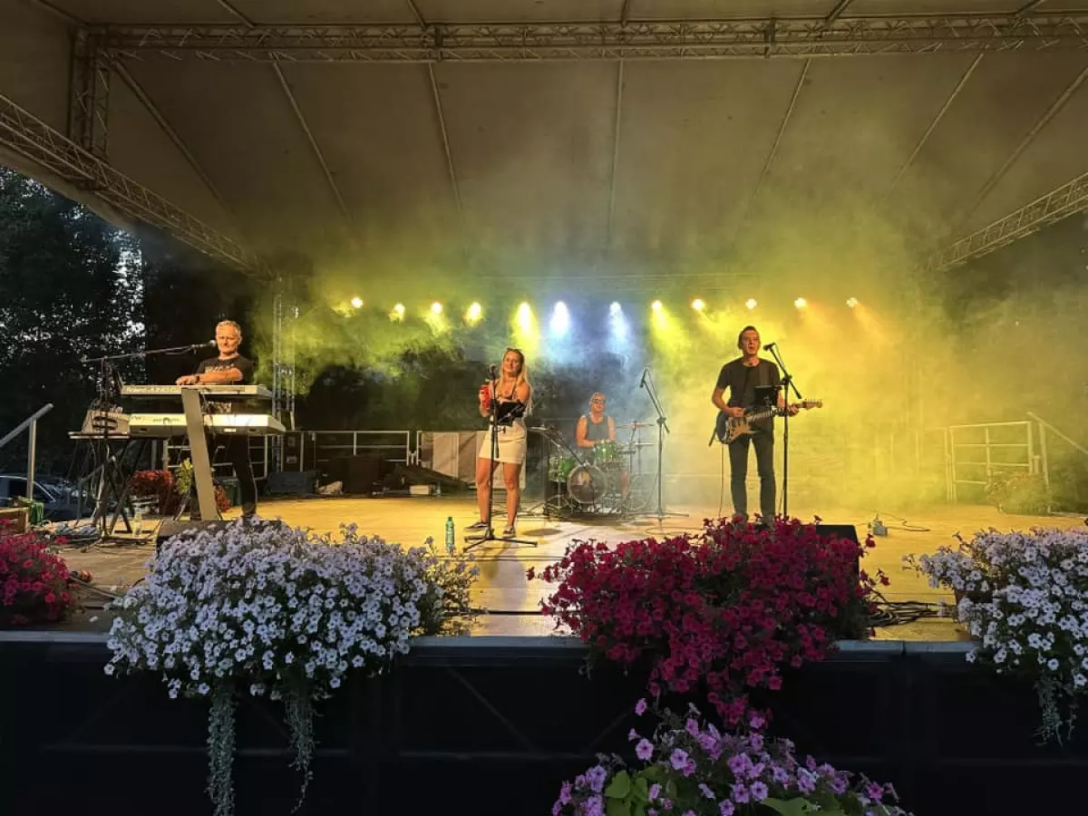 Zespół muzyczny NAVIS